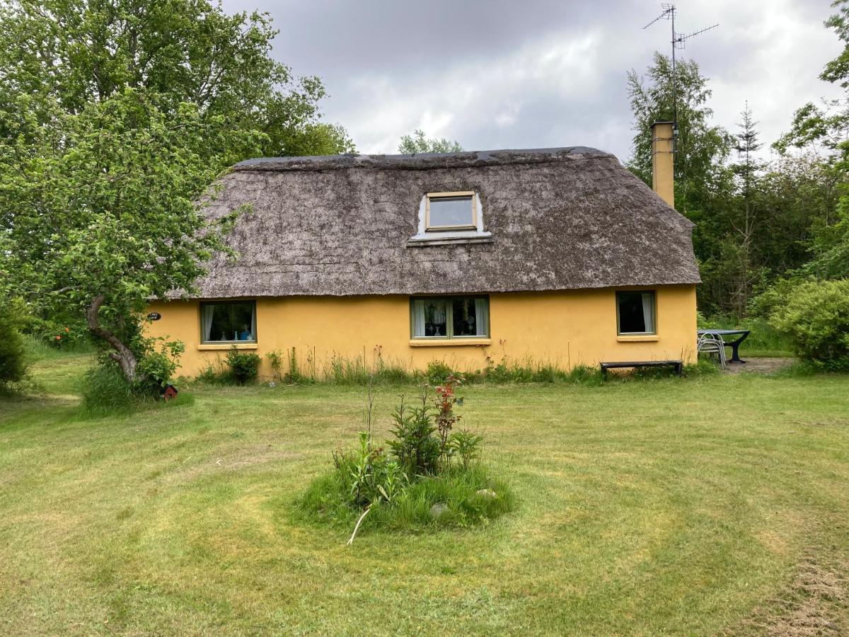 Willa Mor'S Hus Laeso Zewnętrze zdjęcie