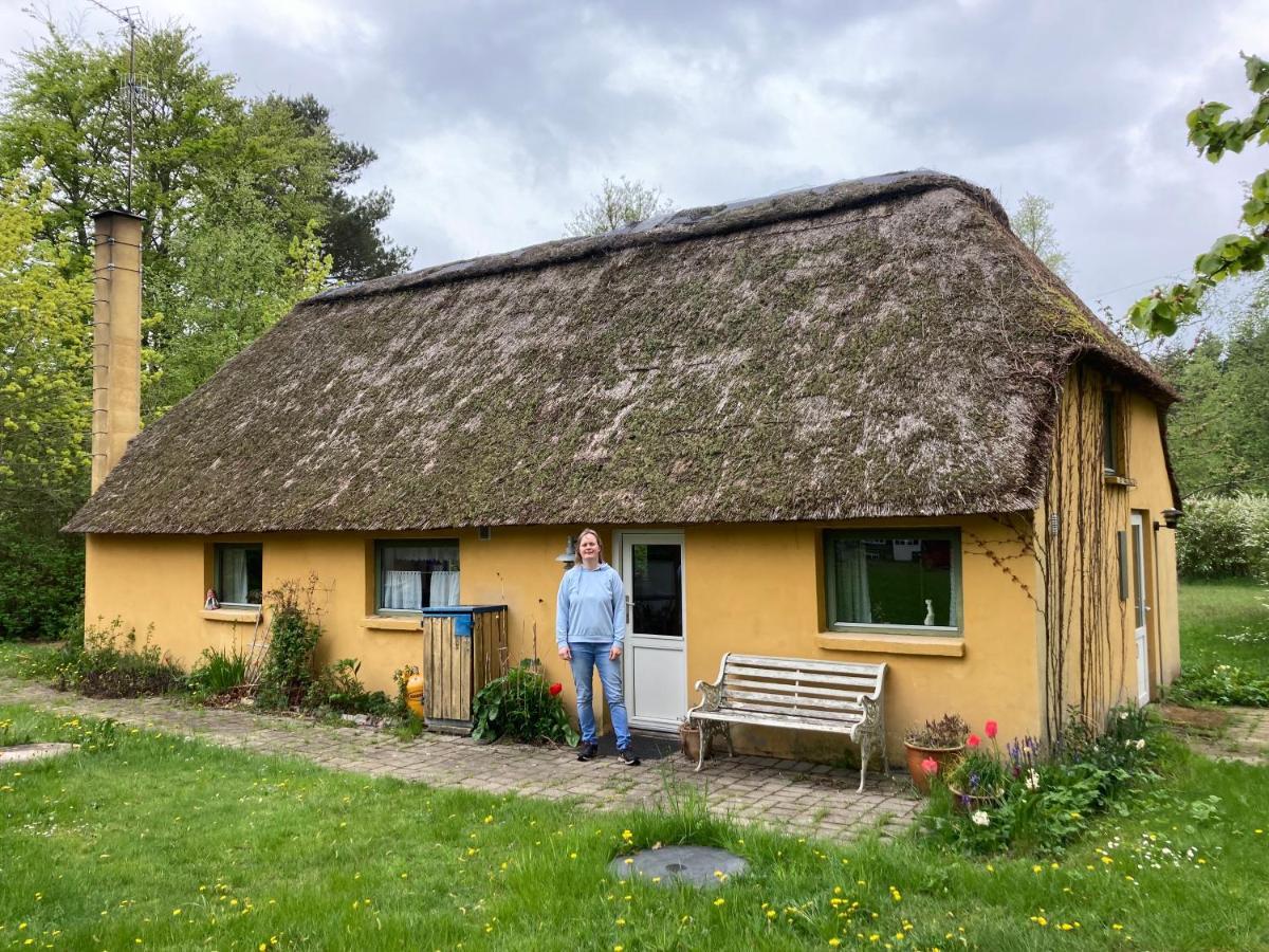 Willa Mor'S Hus Laeso Zewnętrze zdjęcie